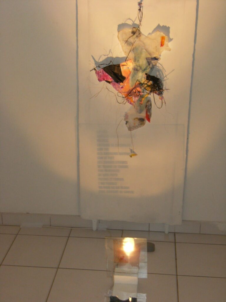 Mr Marc Lager - D.R.Q.G. N° 247 Au cou... installation, (papier, paraffine, osier, caoutchouc, plâtre enduit,