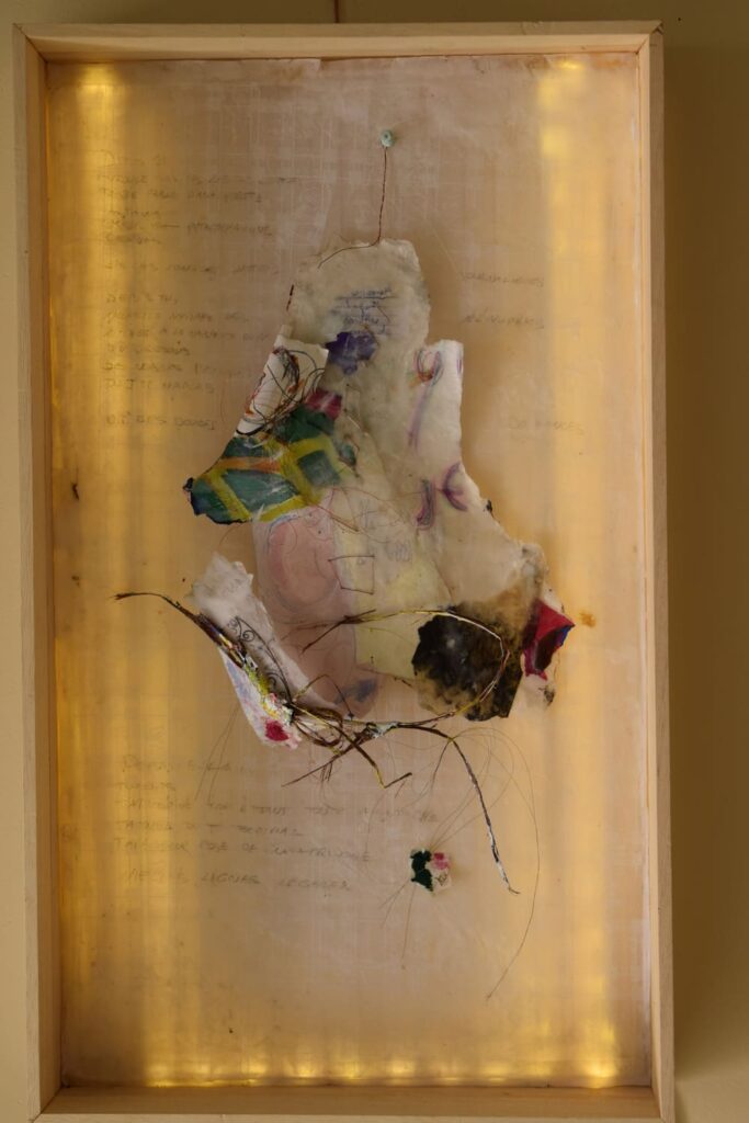 Mr Marc Lager - DSC_0172 D.R.Q.G. n° 249 Depuis je, enroulé sous les libres lettres 2017 70x42