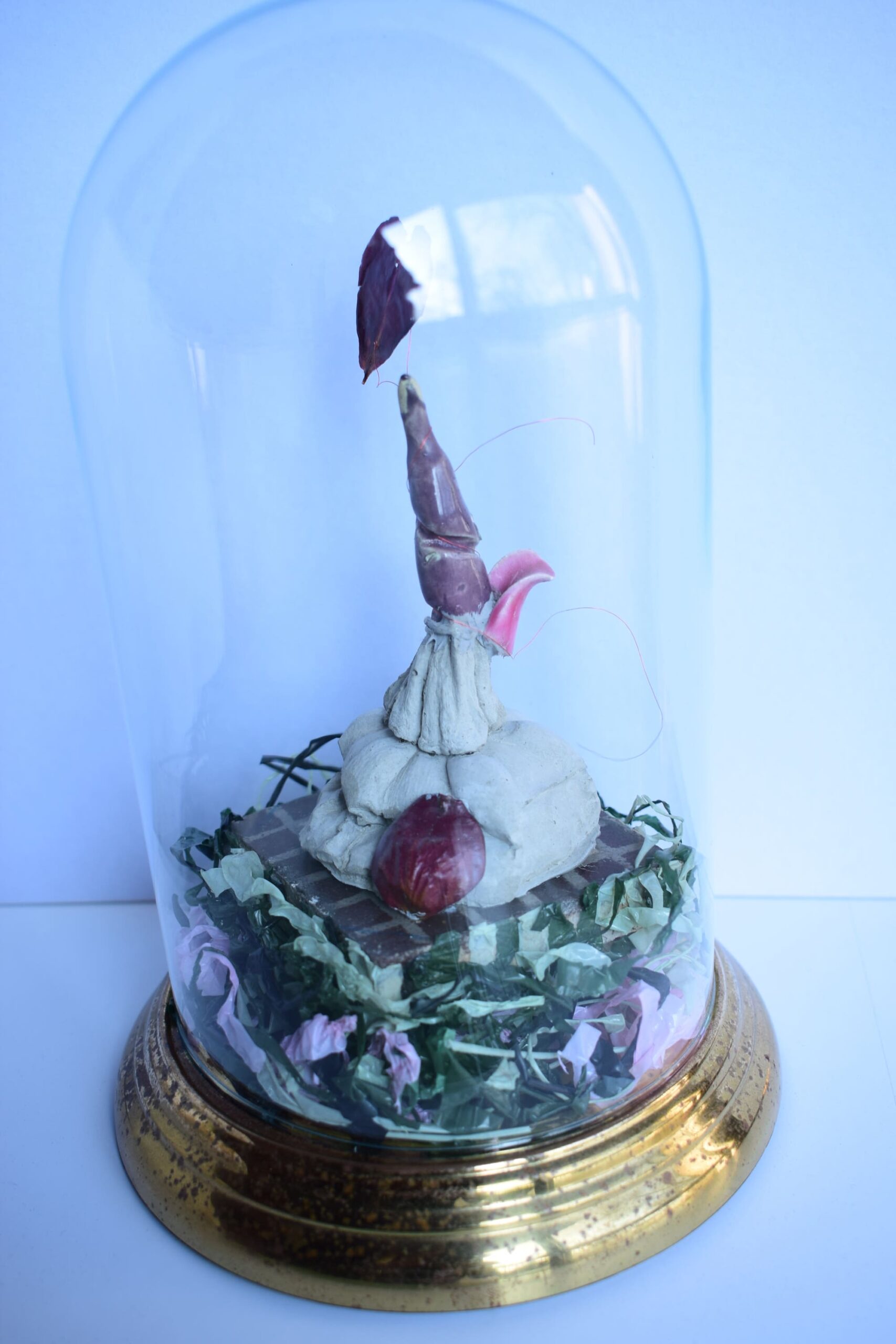 Mr Marc Lager - vanité cloche de courge