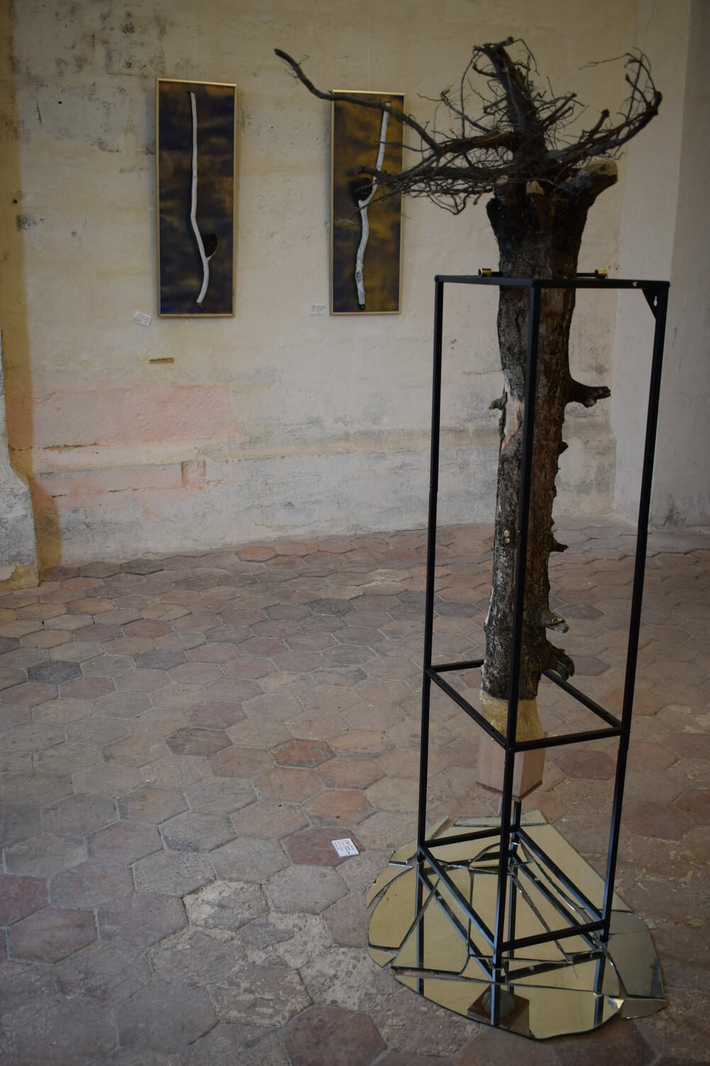 7 DSC_0326